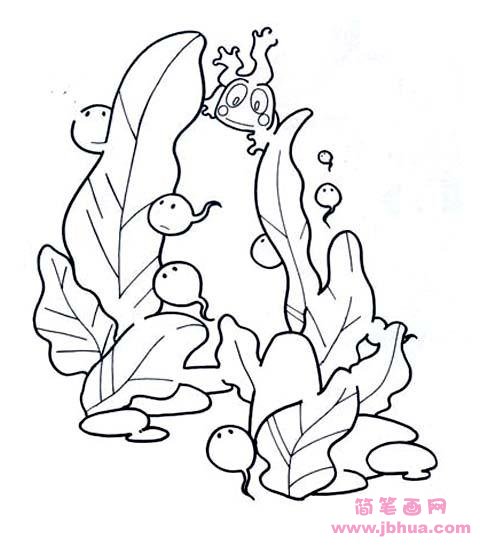 儿童蝌蚪简笔画图片：水草里的蝌蚪