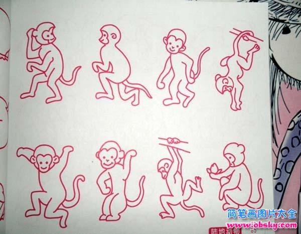 形态各异的猴子简笔画图片大全
