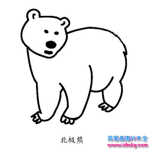北极熊简笔画图片