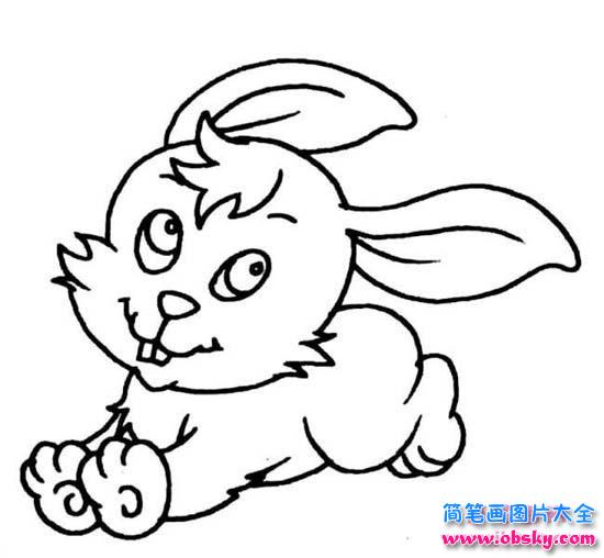 幼儿动物简笔画:可爱的小白兔