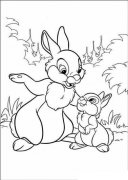 儿童简笔画：兔子妈妈与小兔