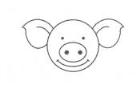 小猪简笔画画法_怎么画小猪的简笔画