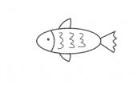 小鱼简笔画画法_怎么画小鱼的简笔画
