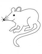 动物简笔画：老鼠