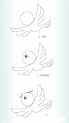 画小鸟的简笔画教程