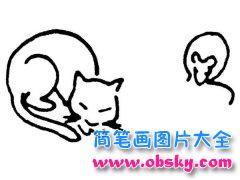 儿童简笔画:猫和老鼠