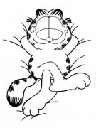 幼儿卡通人物简笔画图片：慵懒的加菲猫