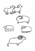 各种羊的简笔画大全