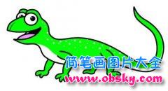 儿童彩色动物简笔画:蜥蜴