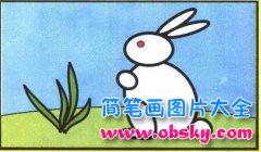 小学生彩色兔子简笔画图片