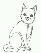 儿童动物简笔画：猫