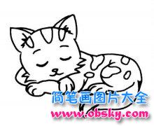 儿童动物简笔画：睡觉的小花猫