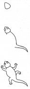 蜥蜴简笔画画法步骤：怎么画蜥蜴