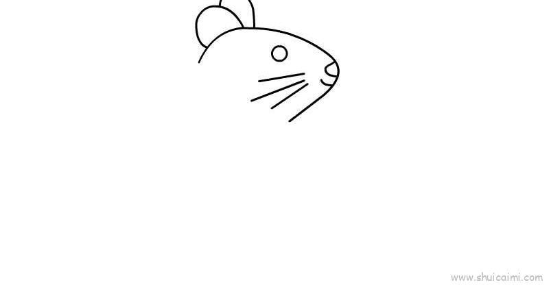 老鼠教程儿童画怎么画 老鼠教程简笔画好看