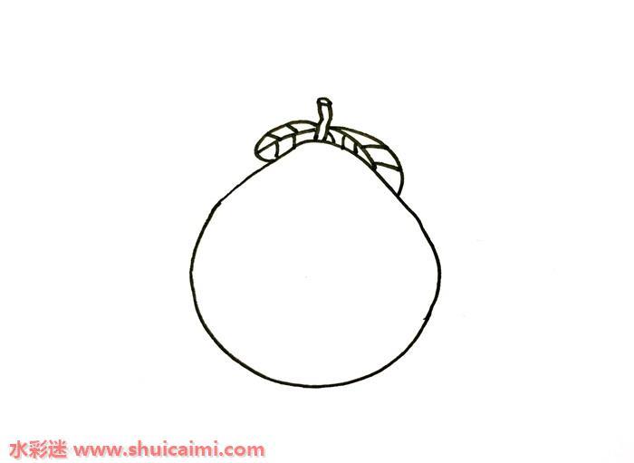 柚子怎么画 柚子简笔画图片带颜色