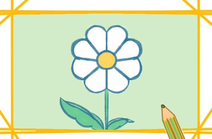 雏菊简笔画 雏菊简笔画图片