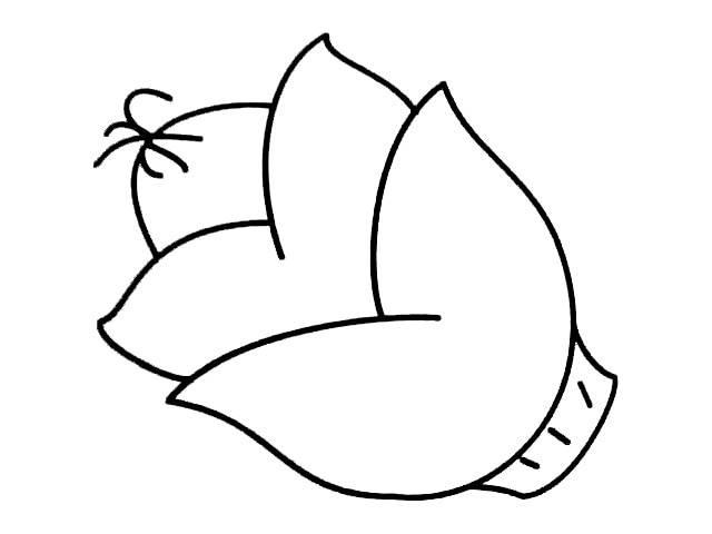 竹笋简笔画 竹笋简笔画好看又简单