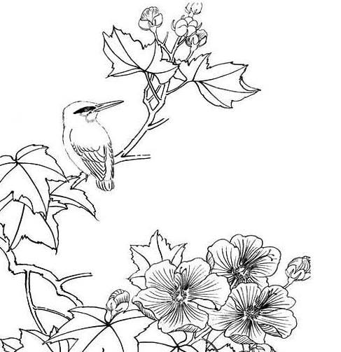 芙蓉花简笔画 芙蓉花简笔画简单