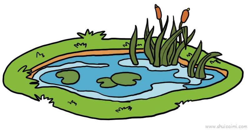 小池塘和水草儿童画怎么画 小池塘和水草简笔画简单又好看