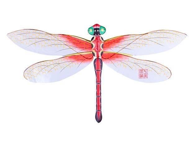 蜻蜓的简笔画图片大全大图 蜻蜓的简笔画彩色