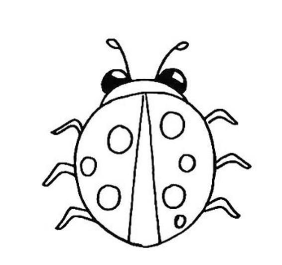 七星瓢虫简笔画 七星瓢虫简笔画图片大全