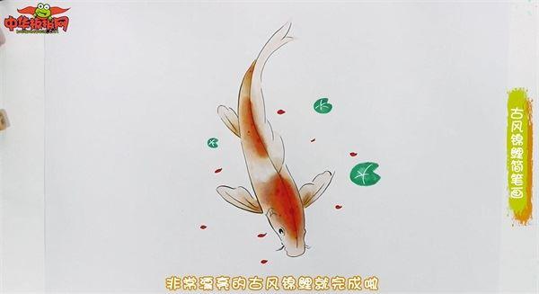 古风锦鲤怎么画 古风锦鲤简笔画画法