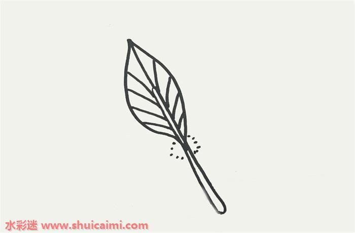 羽毛怎么画 羽毛简笔画步骤图