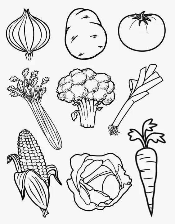 蔬菜简笔画图片大全 蔬菜简笔画图片大全简单颜色