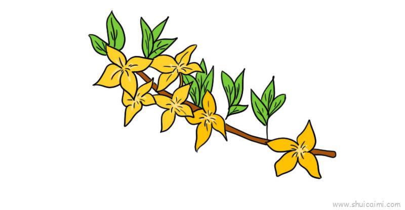 迎春画花儿童画怎么画 迎春画花简笔画画法教程