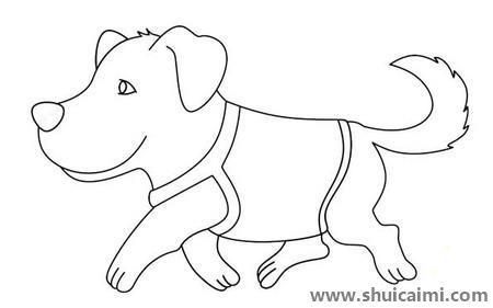 导盲犬儿童简笔画