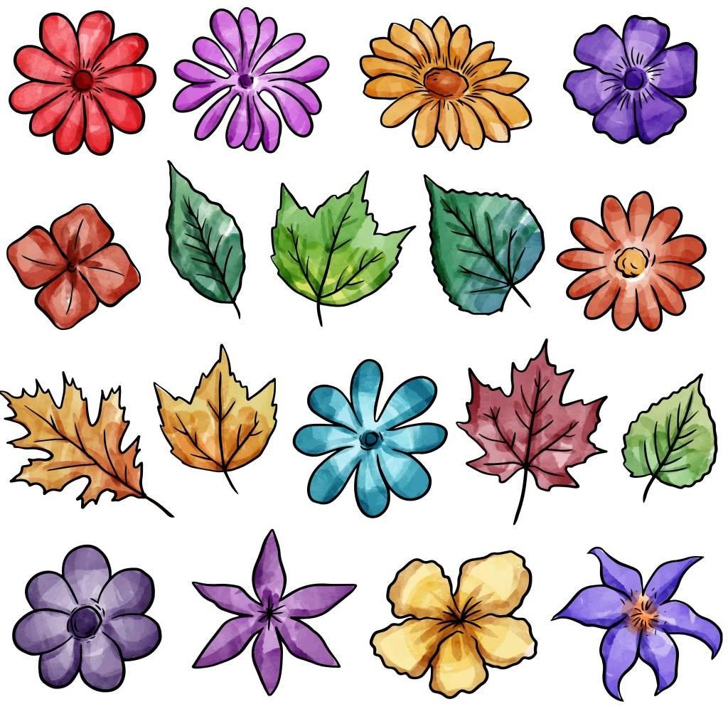 植物简笔画图片大全带颜色 植物简笔画图片大全