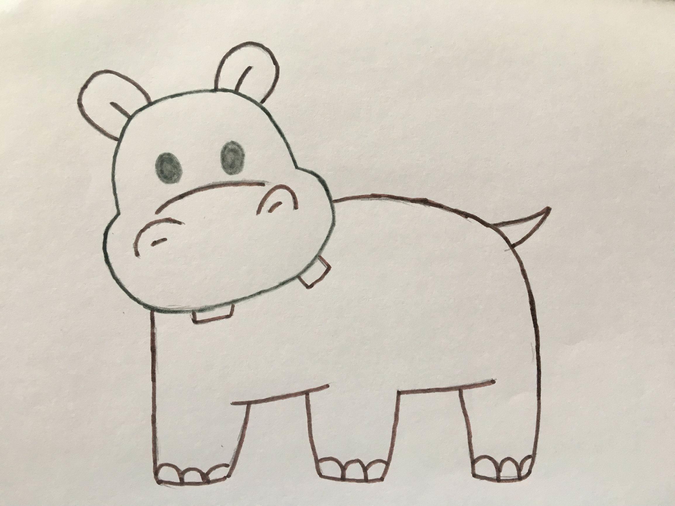 河马简笔画 河马简笔画彩色