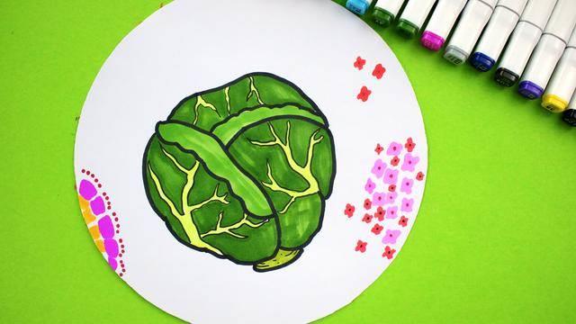 包菜简笔画 绿色尖包菜简笔画