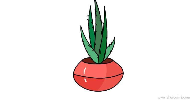 芦荟儿童画怎么画 芦荟简笔画图片大全
