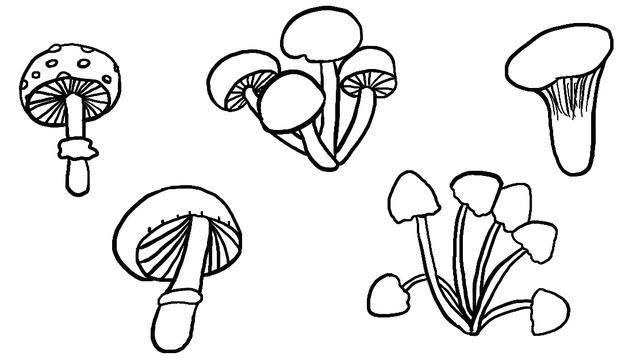 蘑菇简笔画 蘑菇简笔画简单又可爱