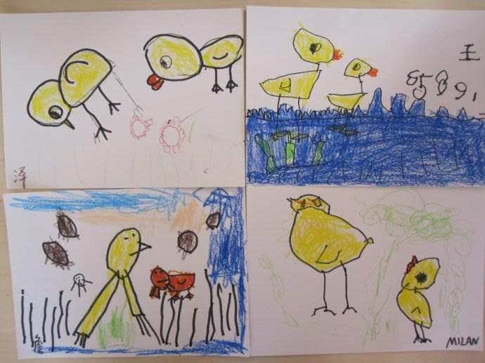 小公鸡和小鸭子简笔画 小公鸡和小鸭子简笔画板书设计