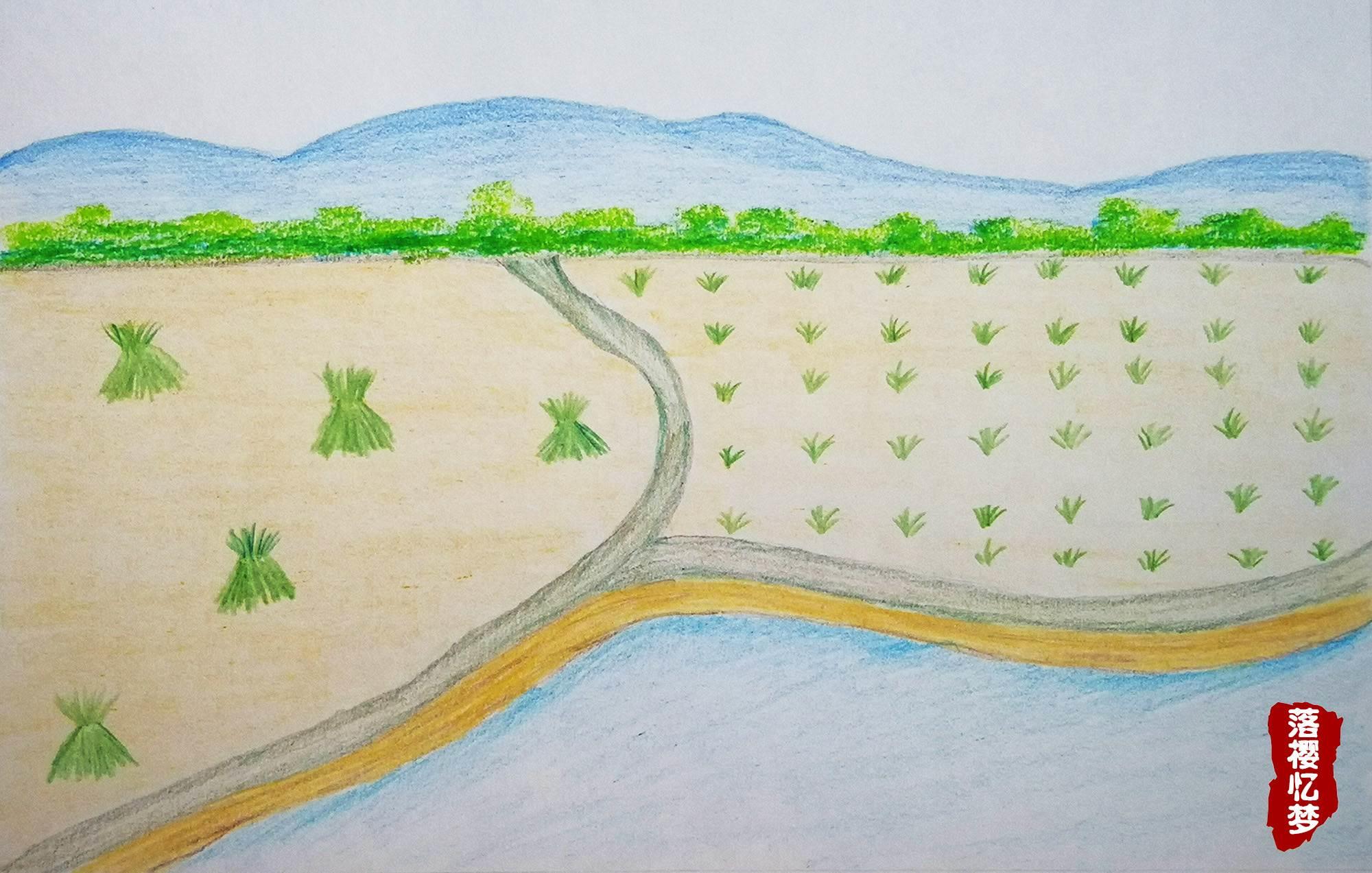 稻田简笔画 稻田简笔画图片大全