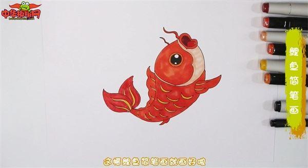 鲤鱼怎么画 鲤鱼简笔画彩色