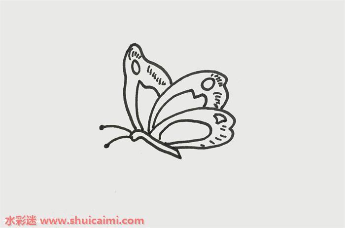 蝴蝶怎么画 一笔一画教蝴蝶简笔画彩色
