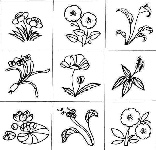 花简笔画 花简笔画图片大全