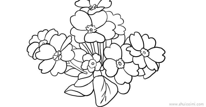 樱花草儿童画怎么画 樱花草简笔画简单