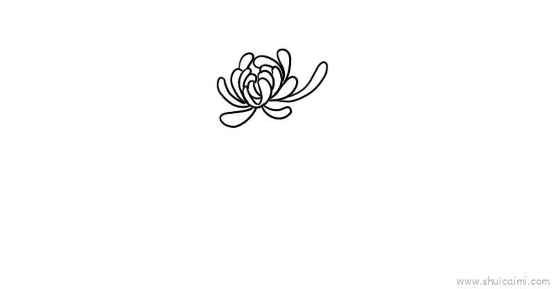 菊花儿童画怎么画 菊花简笔画简单又好看