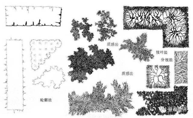 灌木丛简笔画 灌木丛简笔画图片儿童