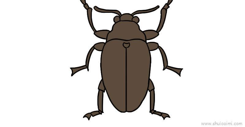 粪金龟儿童画怎么画 粪金龟简笔画简单又好看