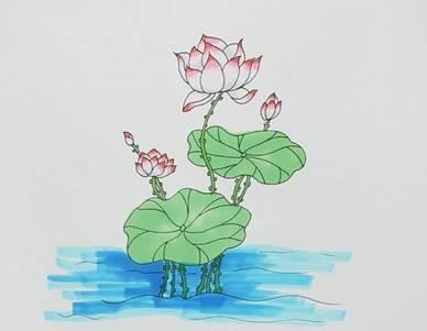 荷花荷叶简笔画 荷花荷叶简笔画彩色