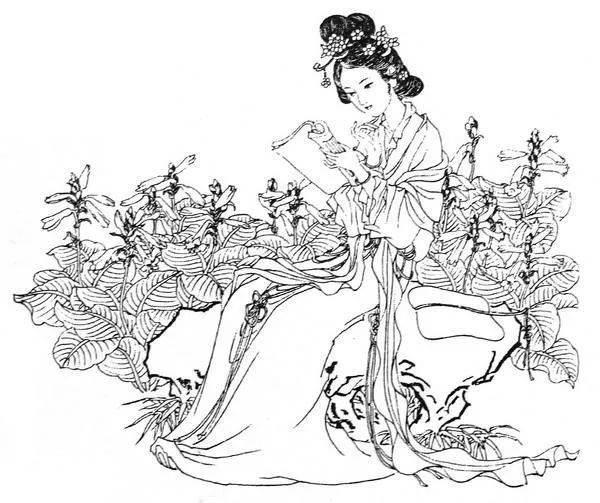 花神简笔画 花神简笔画大全