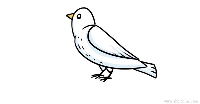 白鸽儿童画怎么画 白鸽简笔画图片大全