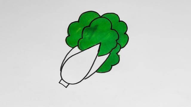 白菜怎么画简笔画 白菜怎么画简笔画简单
