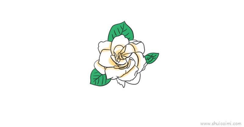 栀子花儿童画怎么画 栀子花简笔画顺序