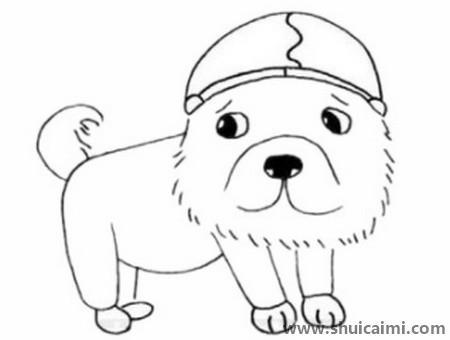 松狮犬儿童简笔画